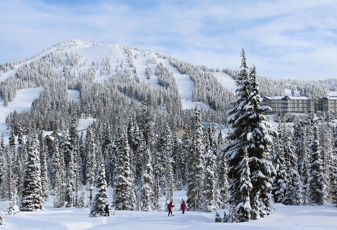 Slopeside Accommodation